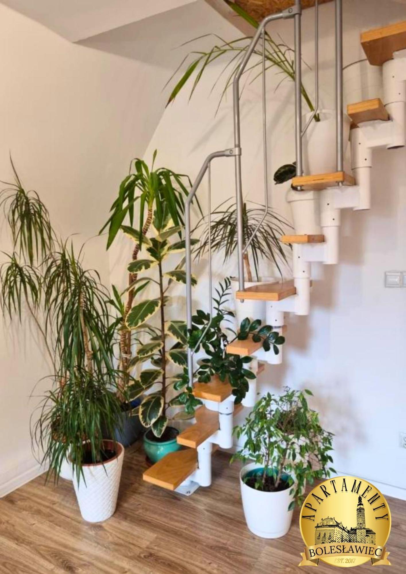 Apartament W Rynku Boleslawiec  Luaran gambar